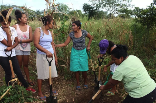 mujeres en el campo.png