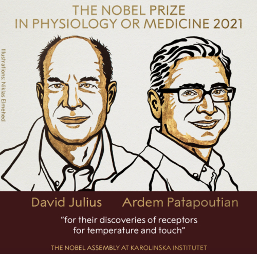 Nobel de Medicina 2021.png