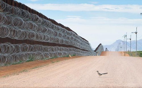 Correcaminos aproximandose al muro fronterizo.jpg