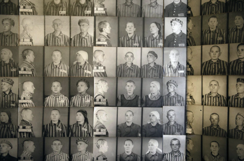 retratos holocausto.png