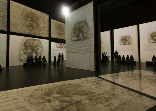 Da Vinci Anatomía.png